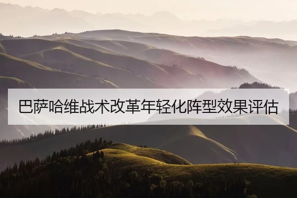 ba-sa-ha-wei-zhan-shu-gai-ge-nian-qing-hua-zhen-xing-xiao-guo-ping-gu-2-685.jpg