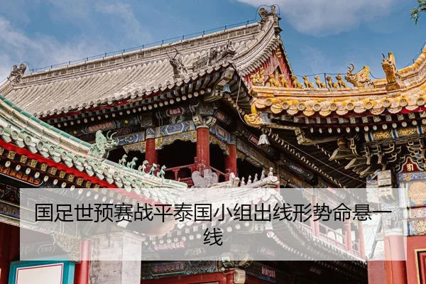 guo-zu-shi-yu-sai-zhan-ping-tai-guo-xiao-zu-chu-xian-xing-shi-ming-xuan-yi-xian-2-927.jpg