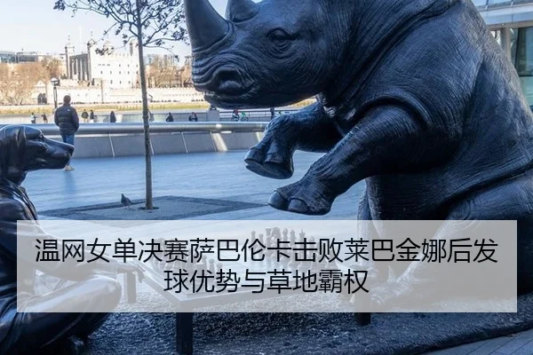 wen-wang-nv-dan-jue-sai-sa-ba-lun-ka-ji-bai-lai-ba-jin-na-hou-fa-qiu-you-shi-yu-cao-di-ba-quan-3-647.jpg